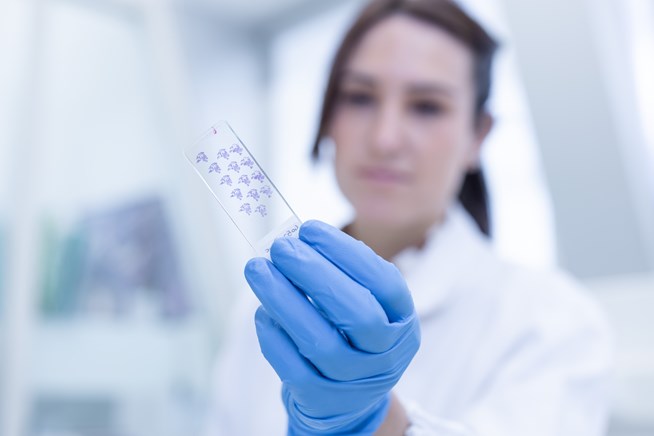 Cinbio, investigadores e investigadoras do máis alto nivel